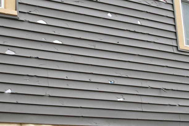 Best Wood Siding Installation  in Shelby, MT